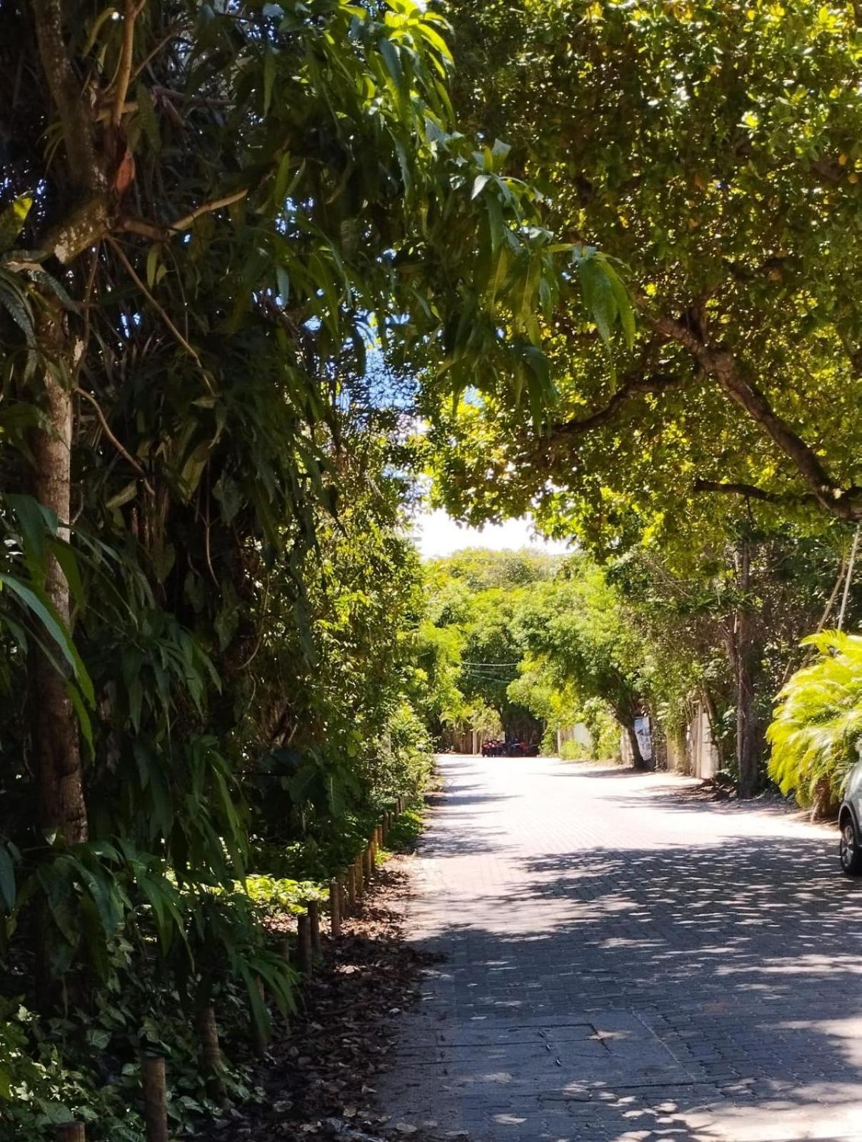 Village Enseada Do Castelo Guest house 2*